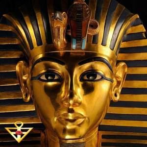 Meet your Posher, Muhammad